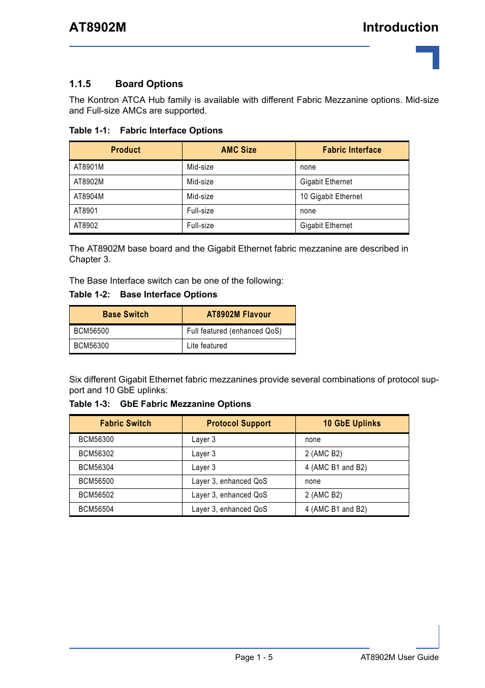 5 board options, Board options - 5, At8902m introduction | Kontron AT8902M User Manual | Page 18 / 92