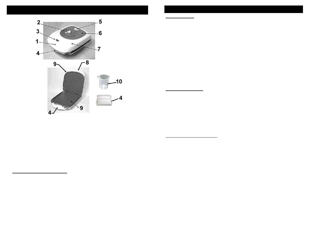 Recipes | Bravetti STEAM GRILL K4820H User Manual | Page 4 / 6