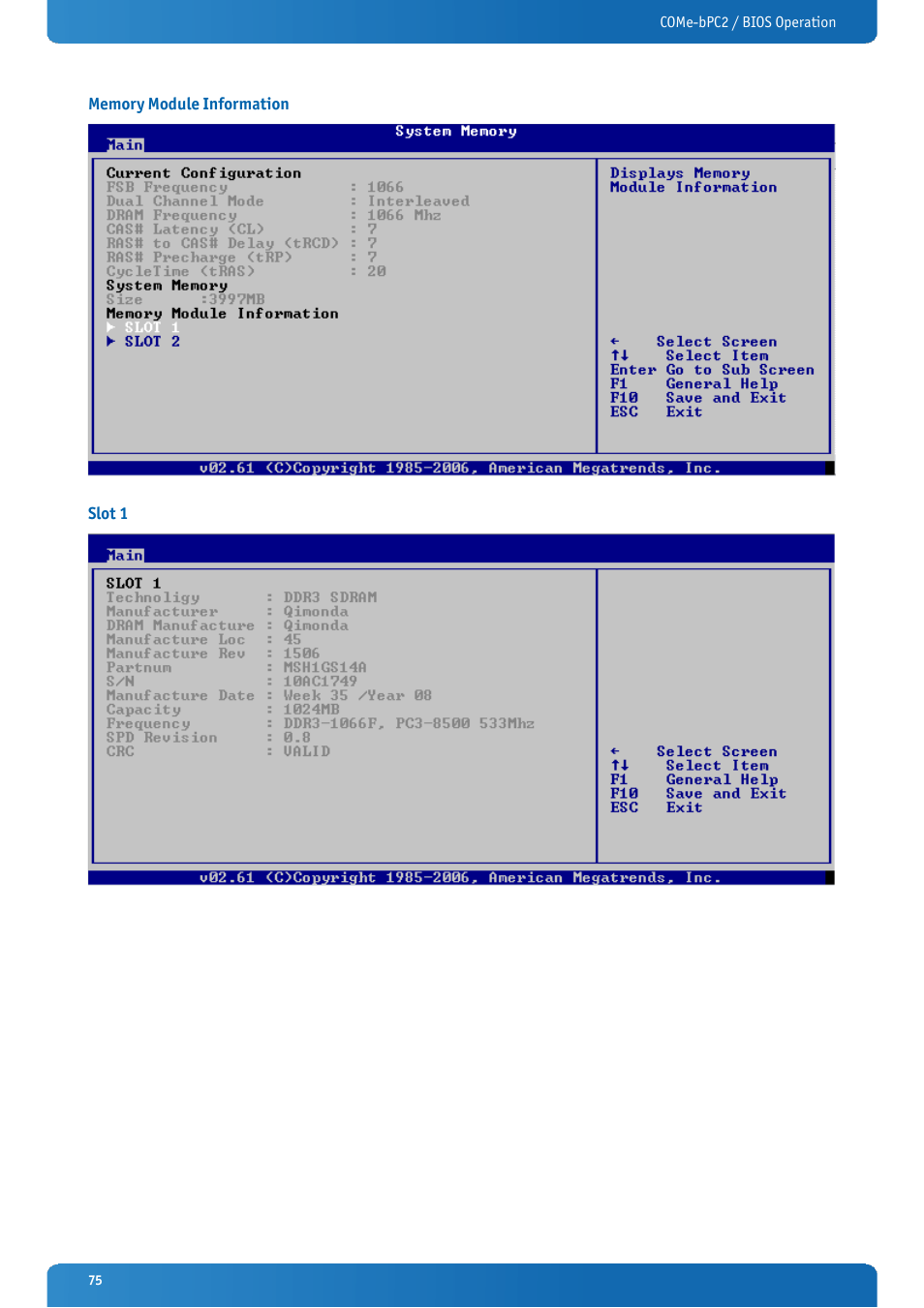 Memory module information, Slot 1 | Kontron COMe-bPC2 User Manual | Page 75 / 115