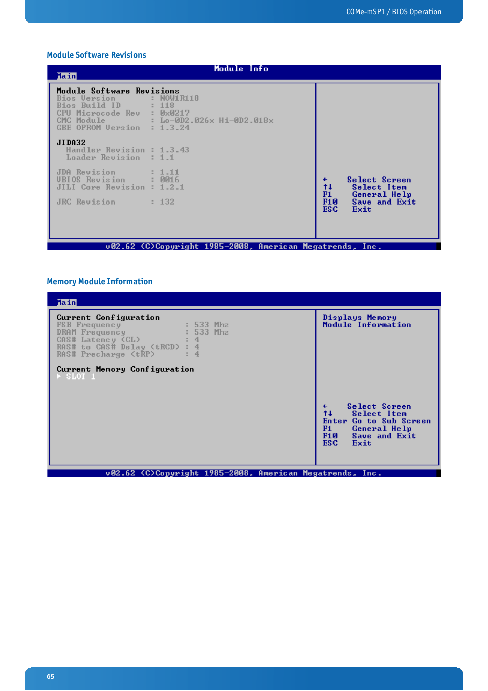 Module software revisions, Memory module information | Kontron COMe-mSP1 User Manual | Page 65 / 97