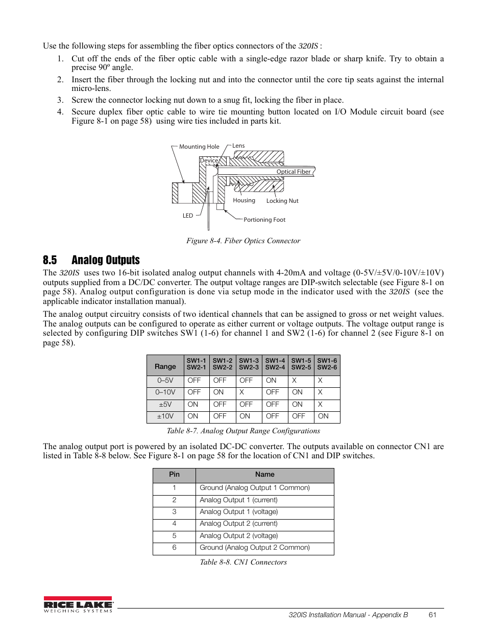 5 analog outputs | Rice Lake Intrinsically Safe User Manual | Page 67 / 76