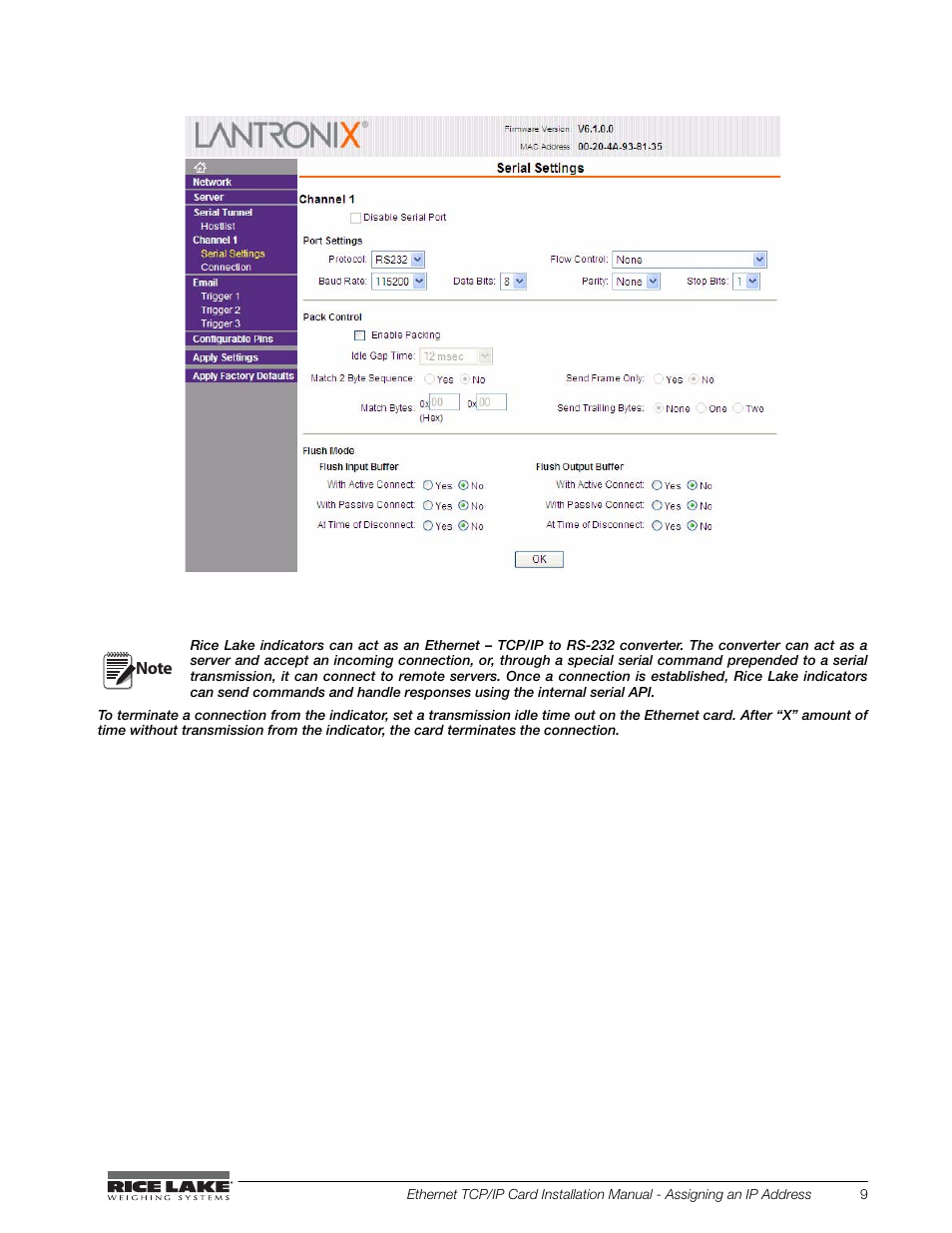 Rice Lake Ethernet TCP/IP User Manual | Page 13 / 38