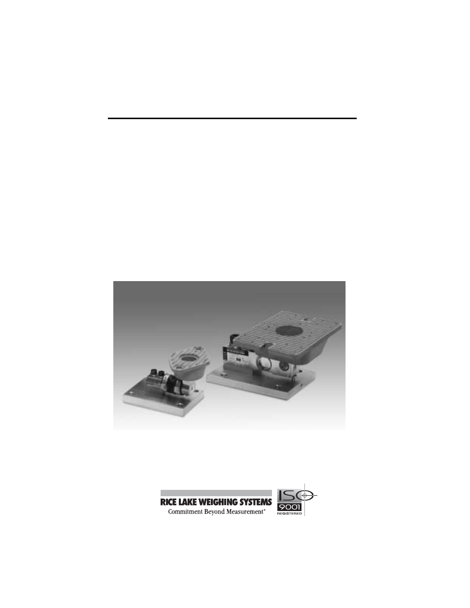 Rice Lake RL50210 TA, 50-500 lb. Capacities Mild Steel User Manual | 13 pages