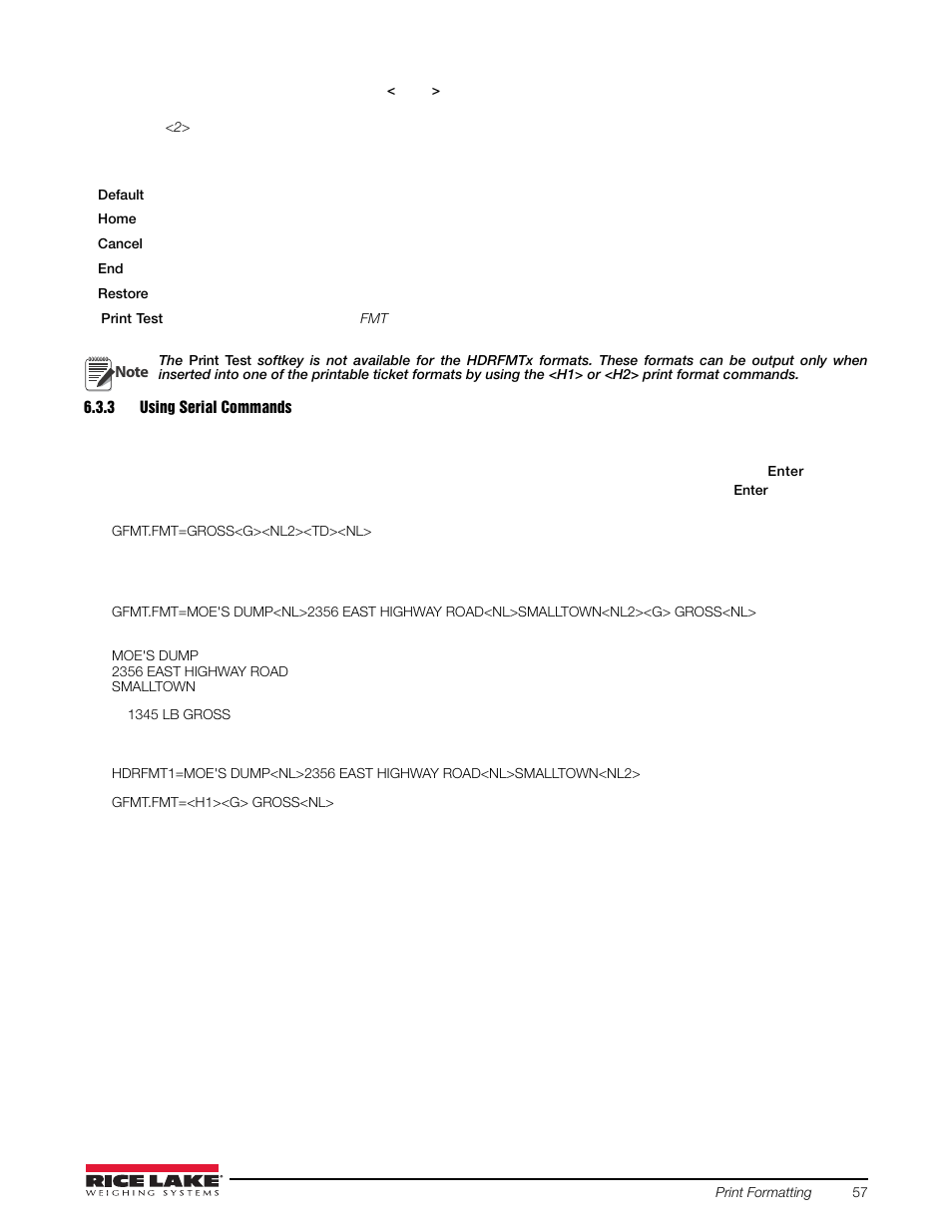 3 using serial commands, Using serial commands | Rice Lake 720i Programmable Indicator/Controller - Installation Manual User Manual | Page 63 / 122