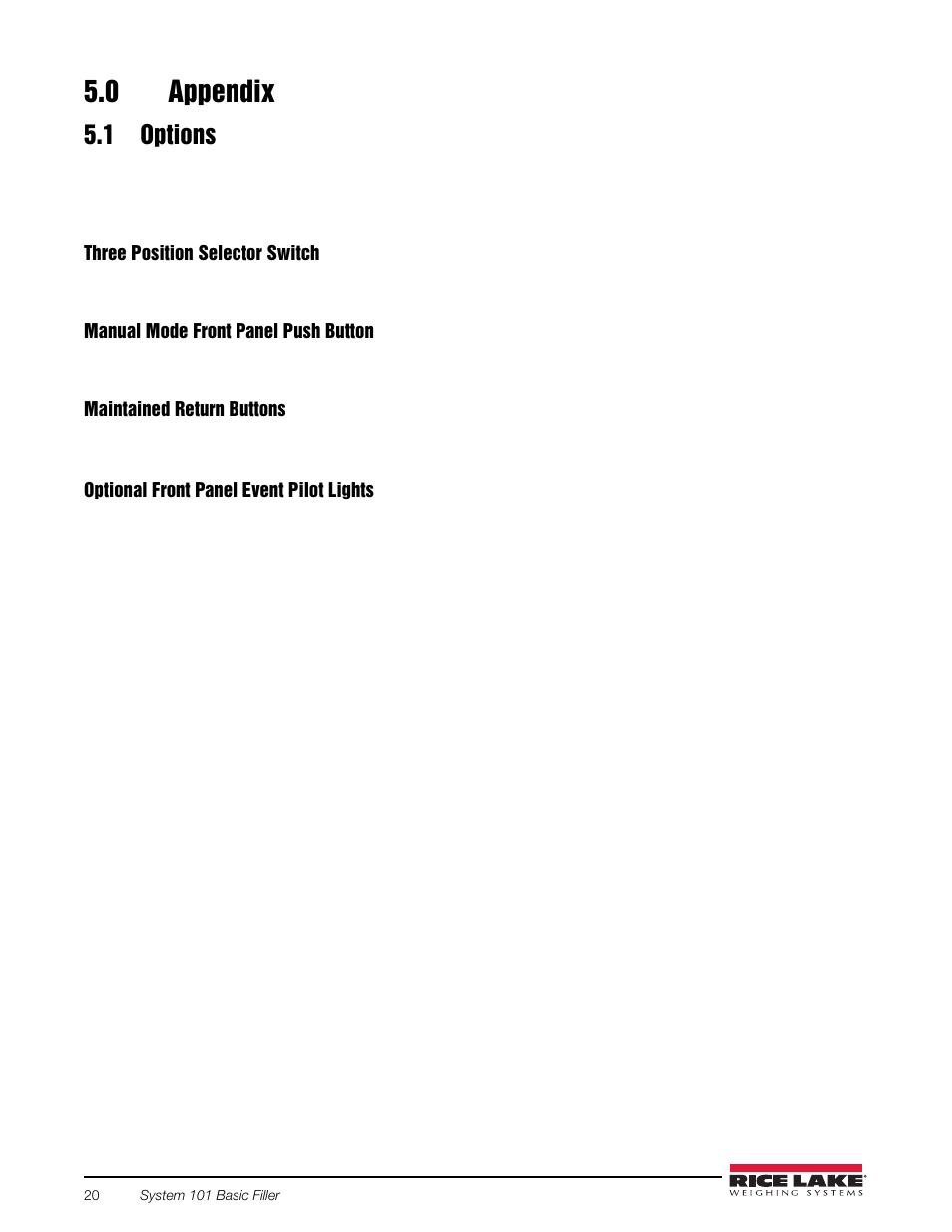 0 appendix, 1 options, Appendix | Rice Lake 920i FlexWeigh Systems - 101 User Manual | Page 24 / 32
