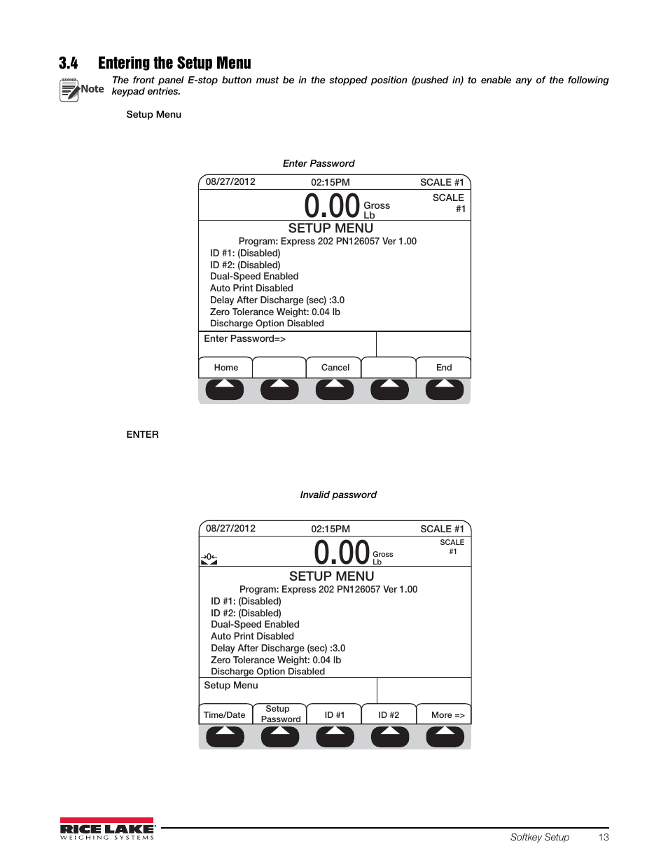 4 entering the setup menu | Rice Lake 920i FlexWeigh Systems - 201/202 User Manual | Page 17 / 38