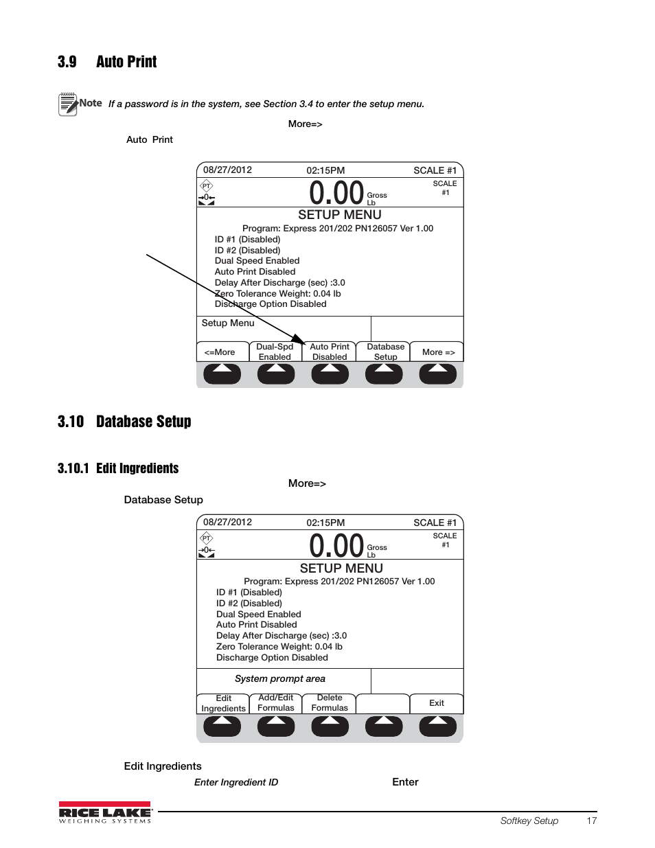 9 auto print, 10 database setup, 1 edit ingredients | 9 auto print 3.10 database setup, Edit ingredients, Section 3.9, Section 3.10 | Rice Lake 920i FlexWeigh Systems - 201/202 User Manual | Page 21 / 38