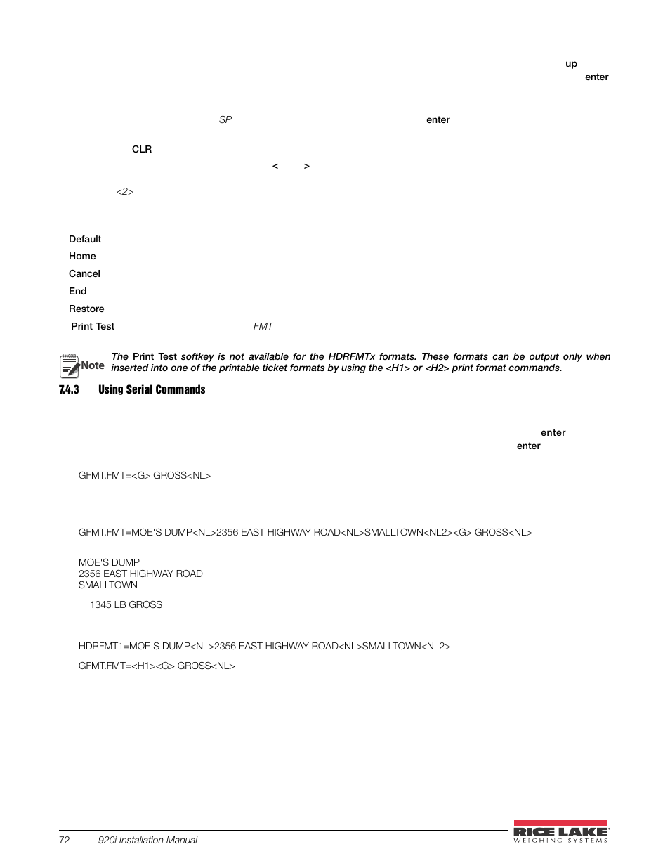 3 using serial commands, Using serial commands | Rice Lake 920i USB Installation Manual V5.05 User Manual | Page 78 / 142