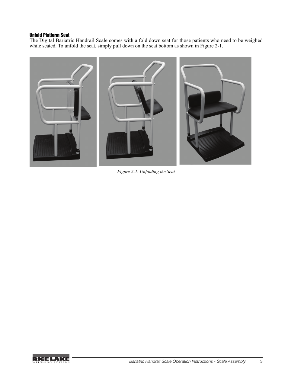 Rice Lake Bariatric/Handrail with Chair Seat (240-10-1) User Manual | Page 7 / 20