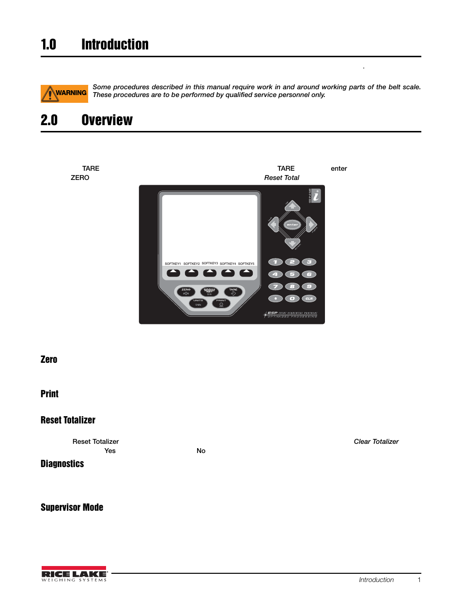 0 introduction, 0 overview, Introduction | Overview | Rice Lake BCi Belt Scale - Calibration Guide User Manual | Page 5 / 16