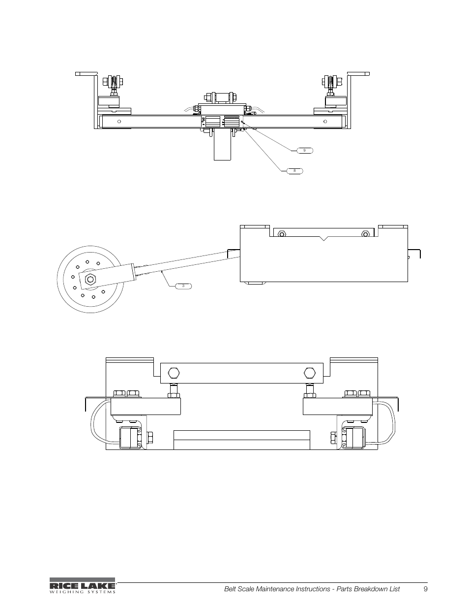 Rice Lake BCi Belt Scale - Maintenance & Troubleshooting Manual User Manual | Page 13 / 16