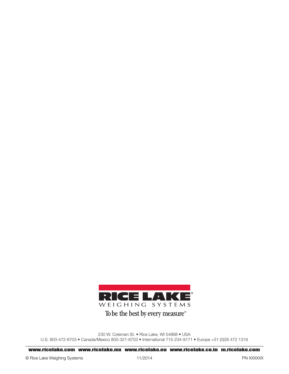 Rice Lake BenchMark HD User Manual | Page 2 / 16