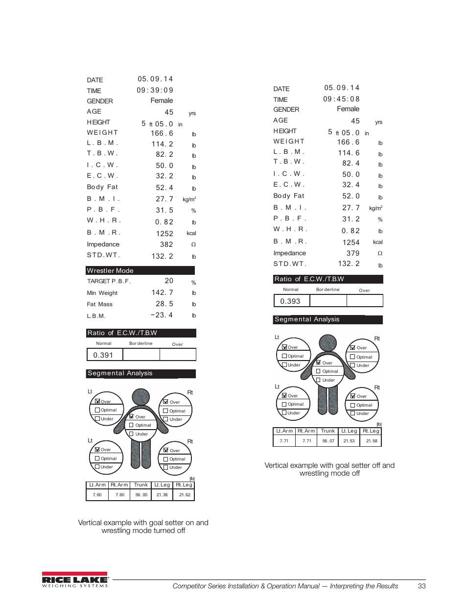 Rice Lake Upper Body Single Frequency Composition Analyzer - D1000-2 User Manual | Page 37 / 48