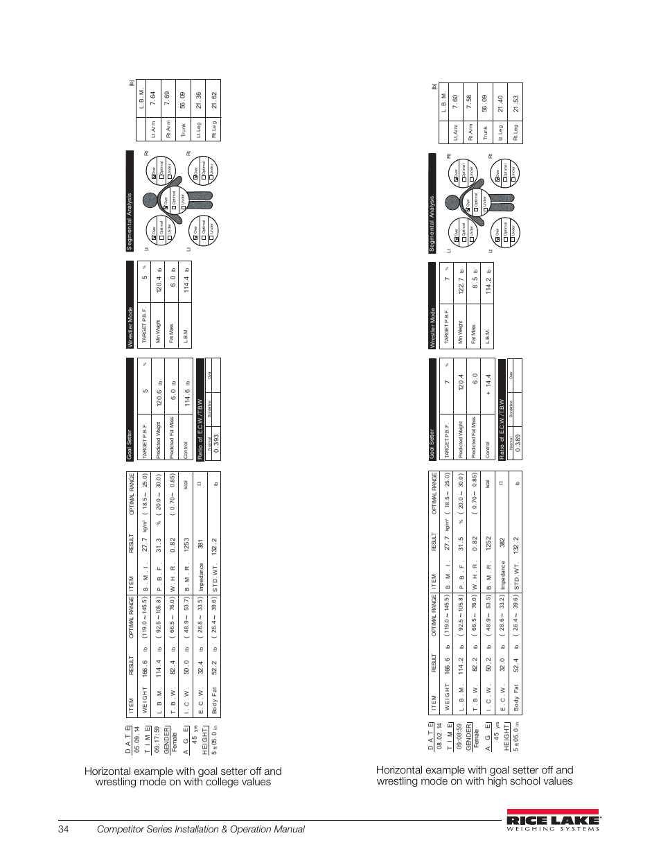 Rice Lake Upper Body Single Frequency Composition Analyzer - D1000-2 User Manual | Page 38 / 48