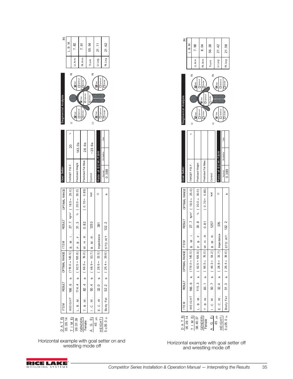 Rice Lake Upper Body Single Frequency Composition Analyzer - D1000-2 User Manual | Page 39 / 48