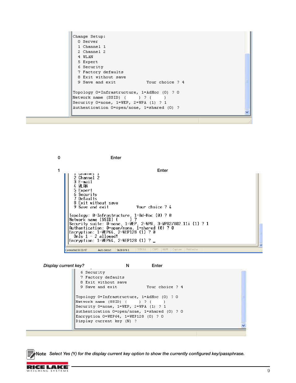 Rice Lake CLS-920 WLAN Option User Manual | Page 9 / 14