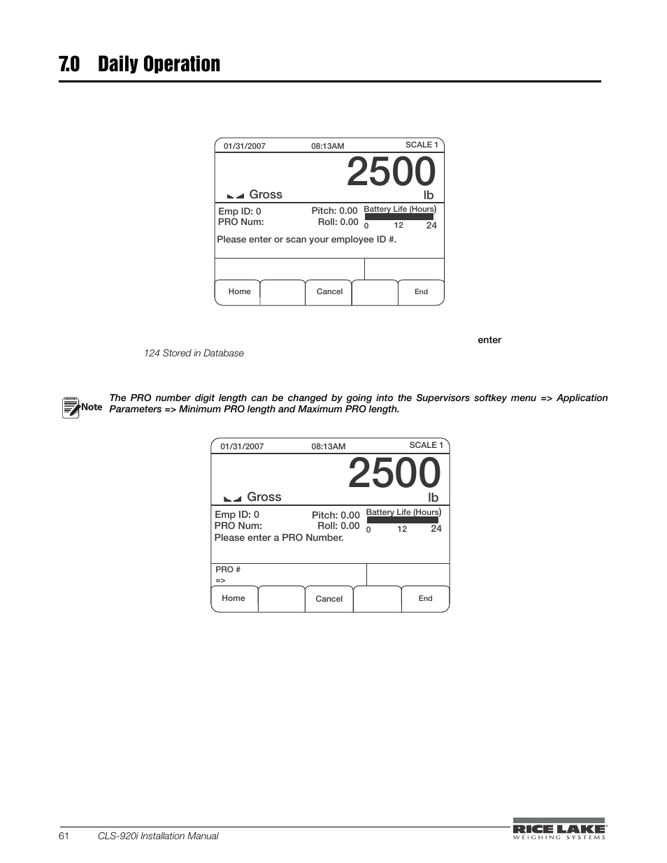 0 daily operation | Rice Lake CLS-920i Cargo Lift Scale Installation Manual User Manual | Page 64 / 98