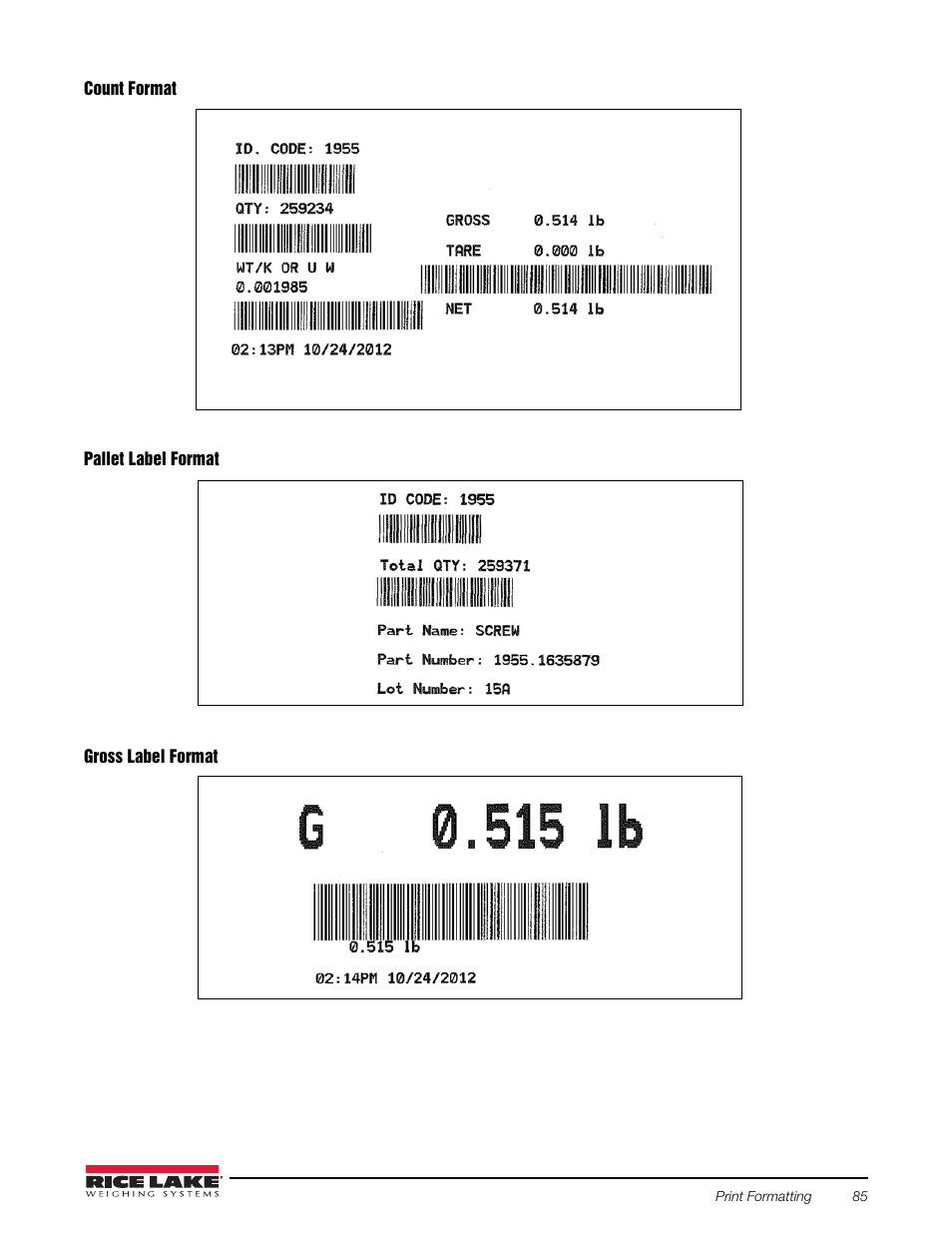 Rice Lake Counterpart Configurable Counting Indicator - Installation and Operation Manual V2.3 - Rev C User Manual | Page 91 / 112