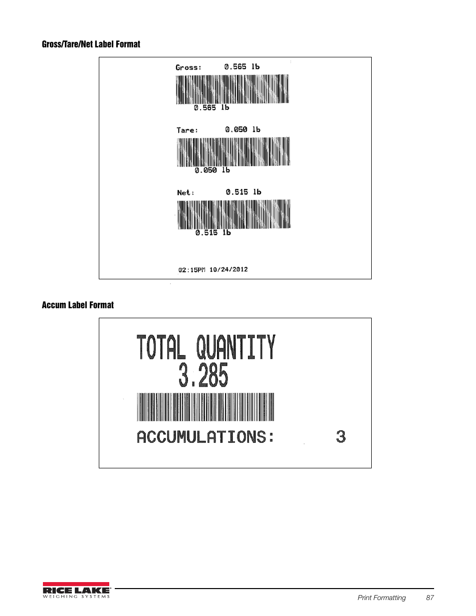 Rice Lake Counterpart Configurable Counting Indicator - Installation and Operation Manual V2.3 - Rev C User Manual | Page 93 / 112