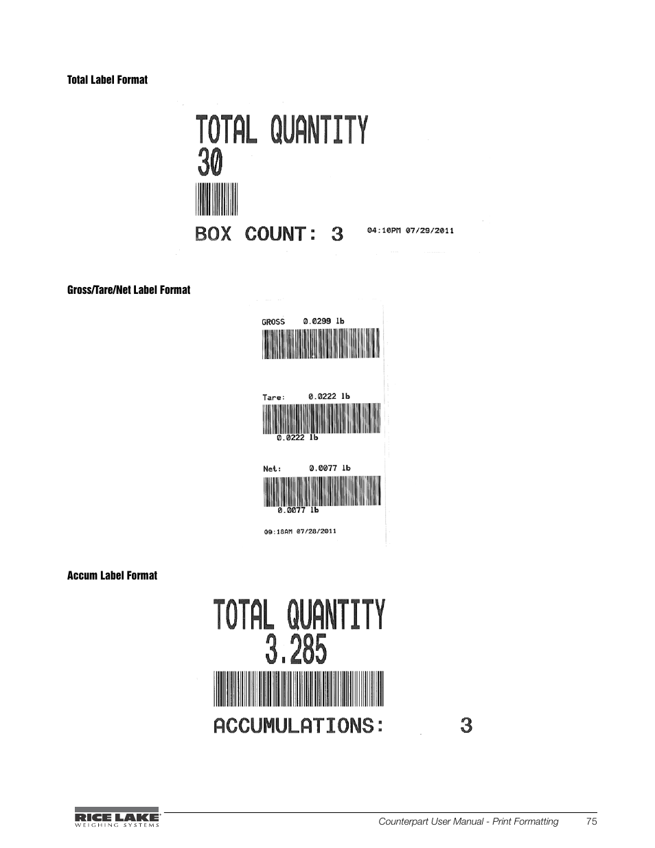 Rice Lake Counterpart Configurable Counting Indicator - User Manual - Version 2.0 User Manual | Page 81 / 98