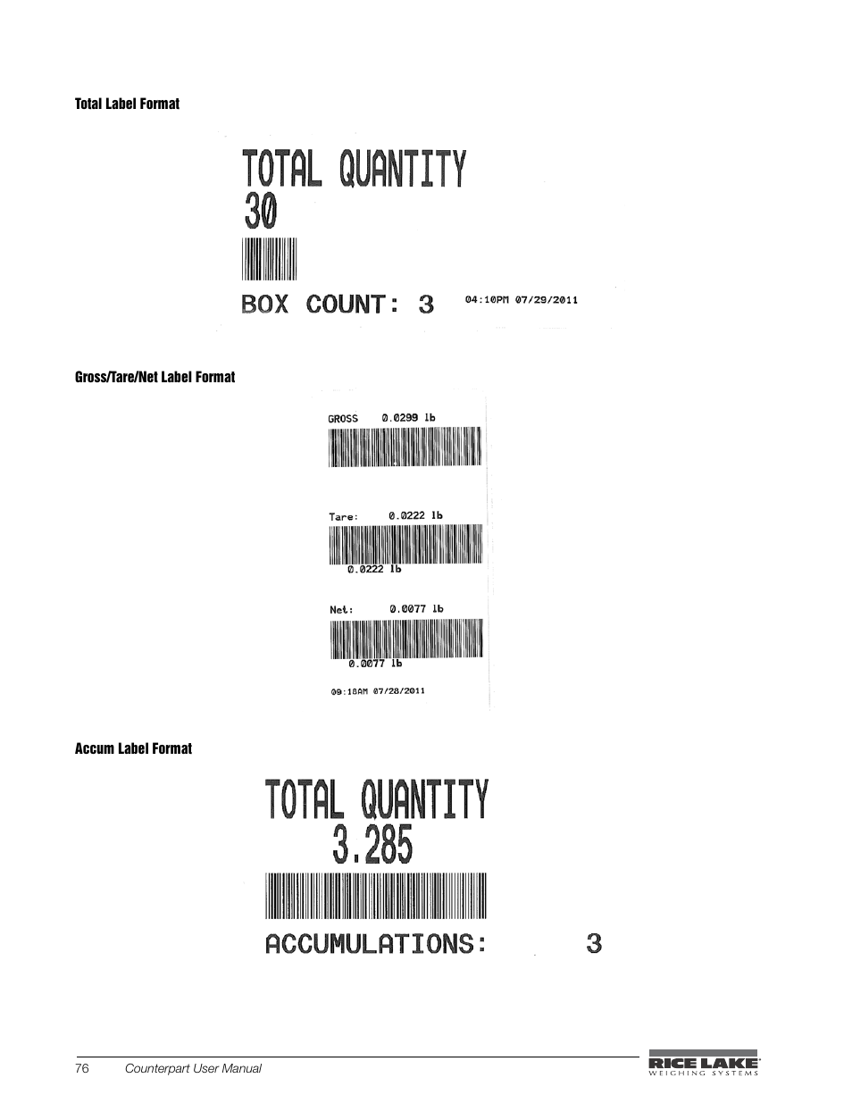 Rice Lake Counterpart Configurable Counting Indicator - User Manual - Version 2.3 User Manual | Page 82 / 99