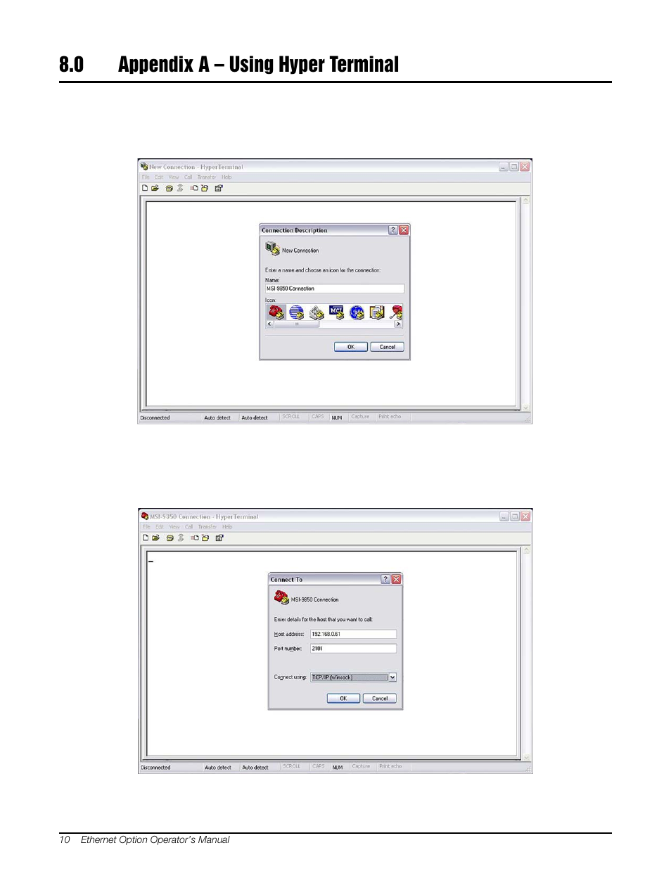 0 appendix a – using hyper terminal, Appendix a – using hyper terminal | Rice Lake MSI Crane Scales - Ethernet Option User Manual | Page 14 / 20