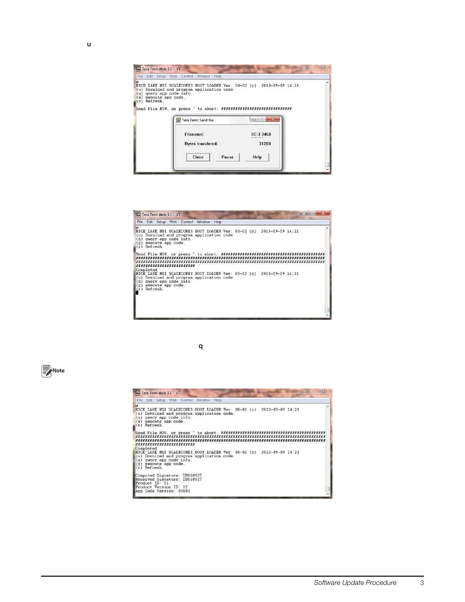 Rice Lake SC-3 PCA Sofware Update Procedure User Manual | Page 3 / 4