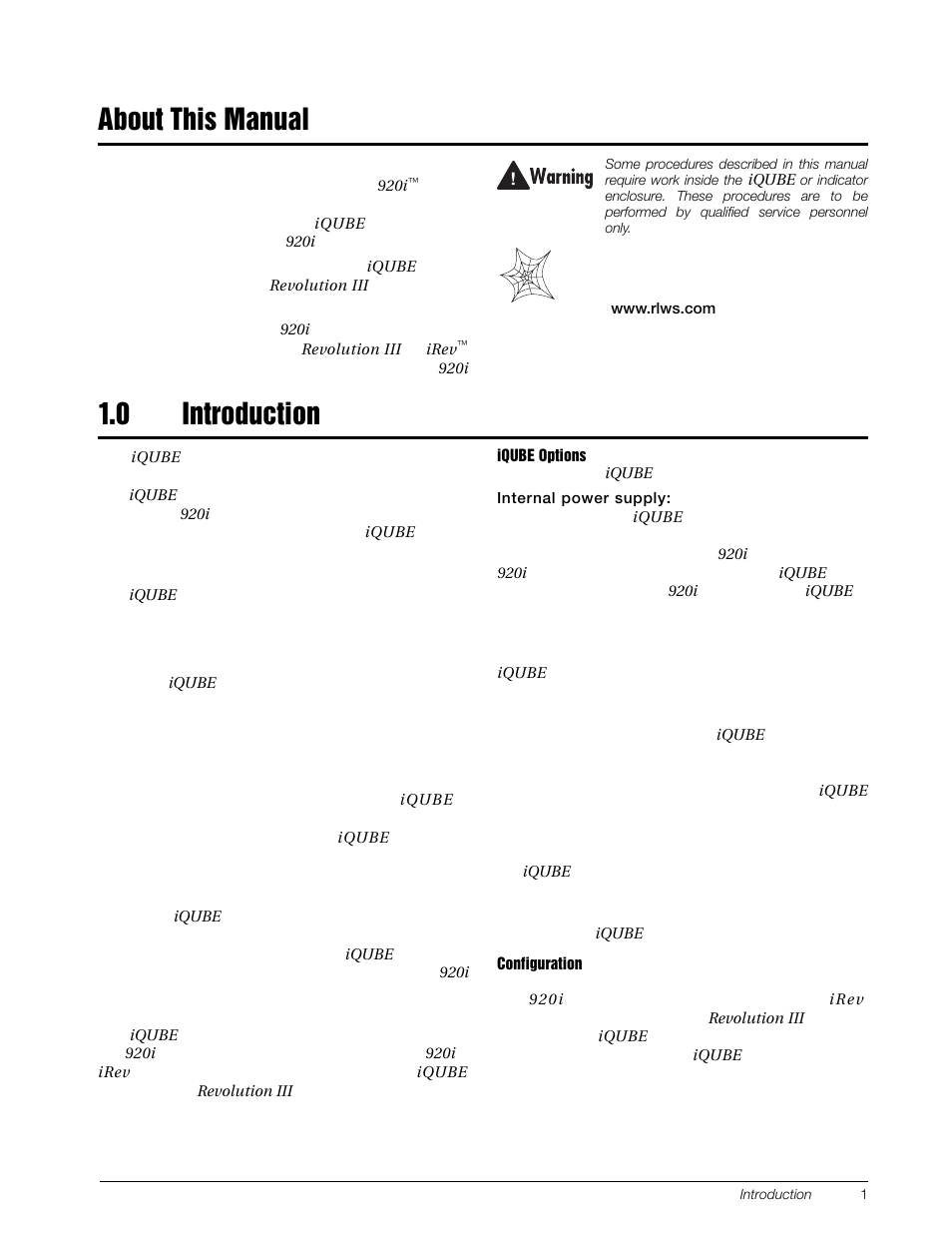 About this manual, 0 introduction, About this manual 1.0 | Introduction | Rice Lake Digital/Diagnostic - iQube User Manual | Page 4 / 54