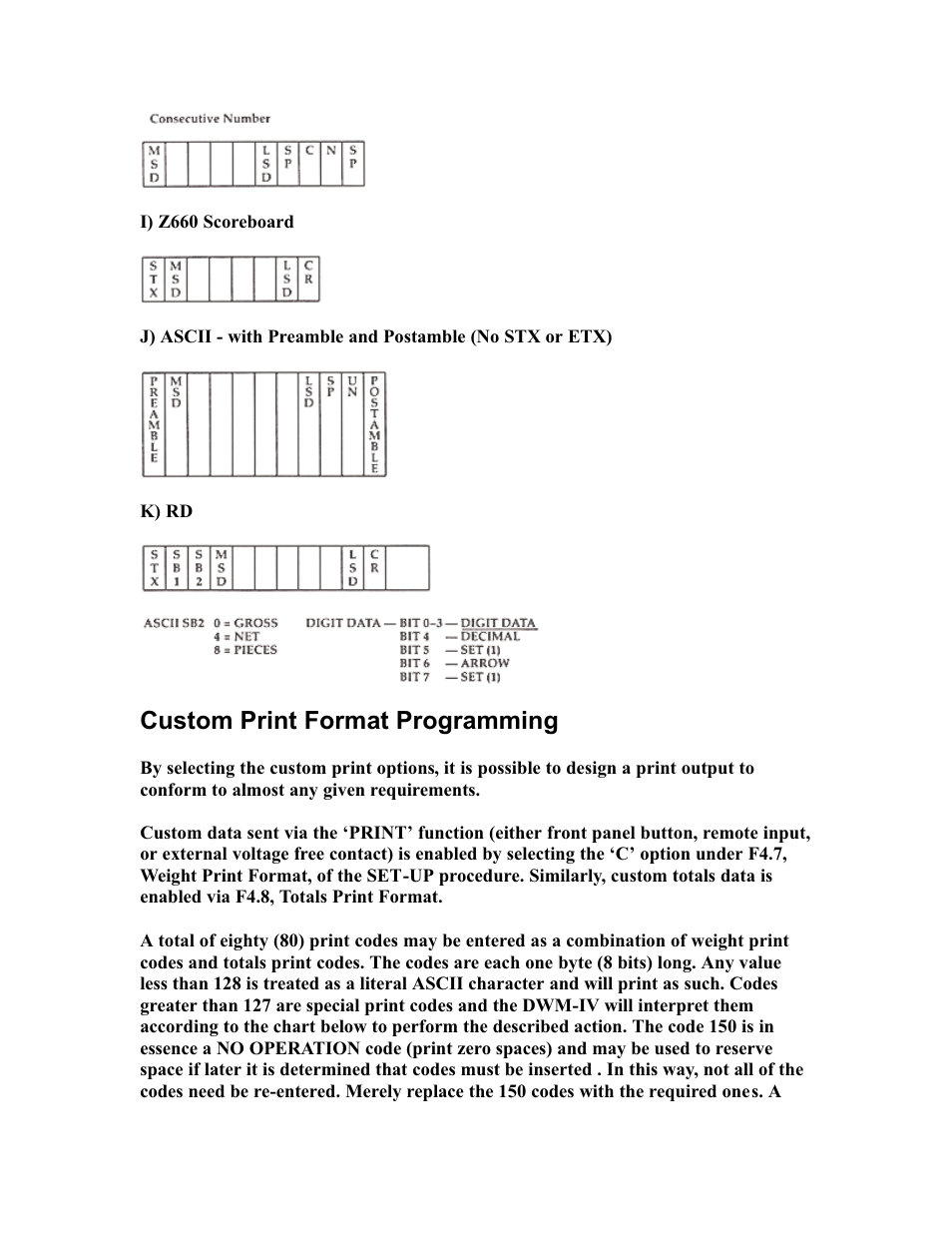Custom print format programming | Rice Lake DWM-IV Weighmeter Standard Operators Manual User Manual | Page 50 / 62