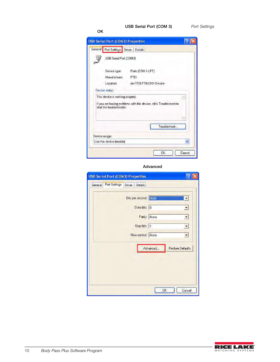 Rice Lake Upper Body Single Frequency Composition Analyzer - D1000-2 - Pass Plus Software User Manual | Page 14 / 38