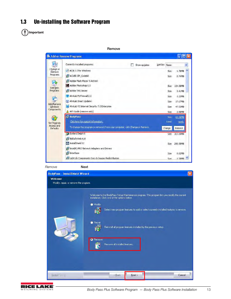 3 un-installing the software program | Rice Lake Upper Body Single Frequency Composition Analyzer - D1000-2 - Pass Plus Software User Manual | Page 17 / 38