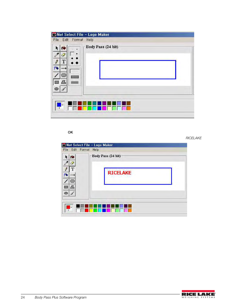Rice Lake Upper Body Single Frequency Composition Analyzer - D1000-2 - Pass Plus Software User Manual | Page 28 / 38