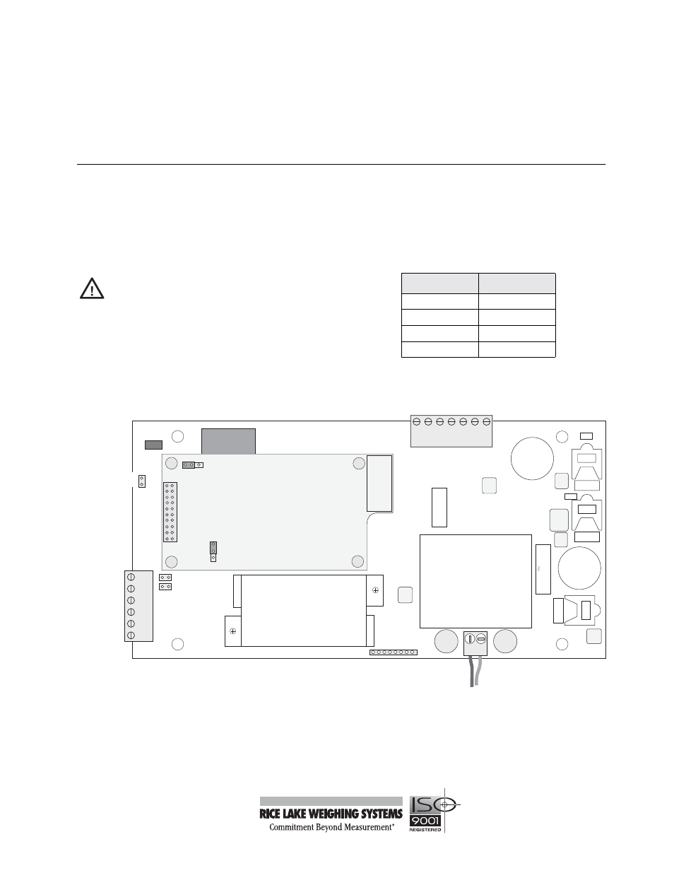 Rice Lake IQ plus 355 Indicator Analog Option User Manual | 6 pages