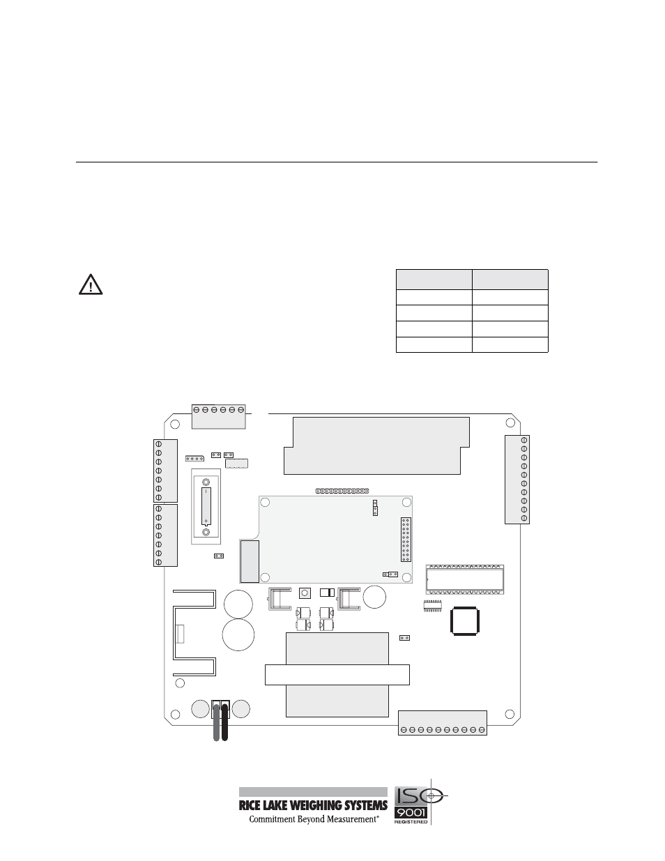Analog output option, Caution, Iq plus | Rice Lake IQ plus 355 Indicator Analog Option User Manual | Page 3 / 6