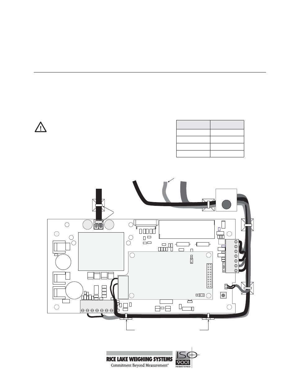 Analog output option, Caution, Iq plus | 350 digital weight indicator | Rice Lake IQ plus 355 Indicator Analog Option User Manual | Page 5 / 6