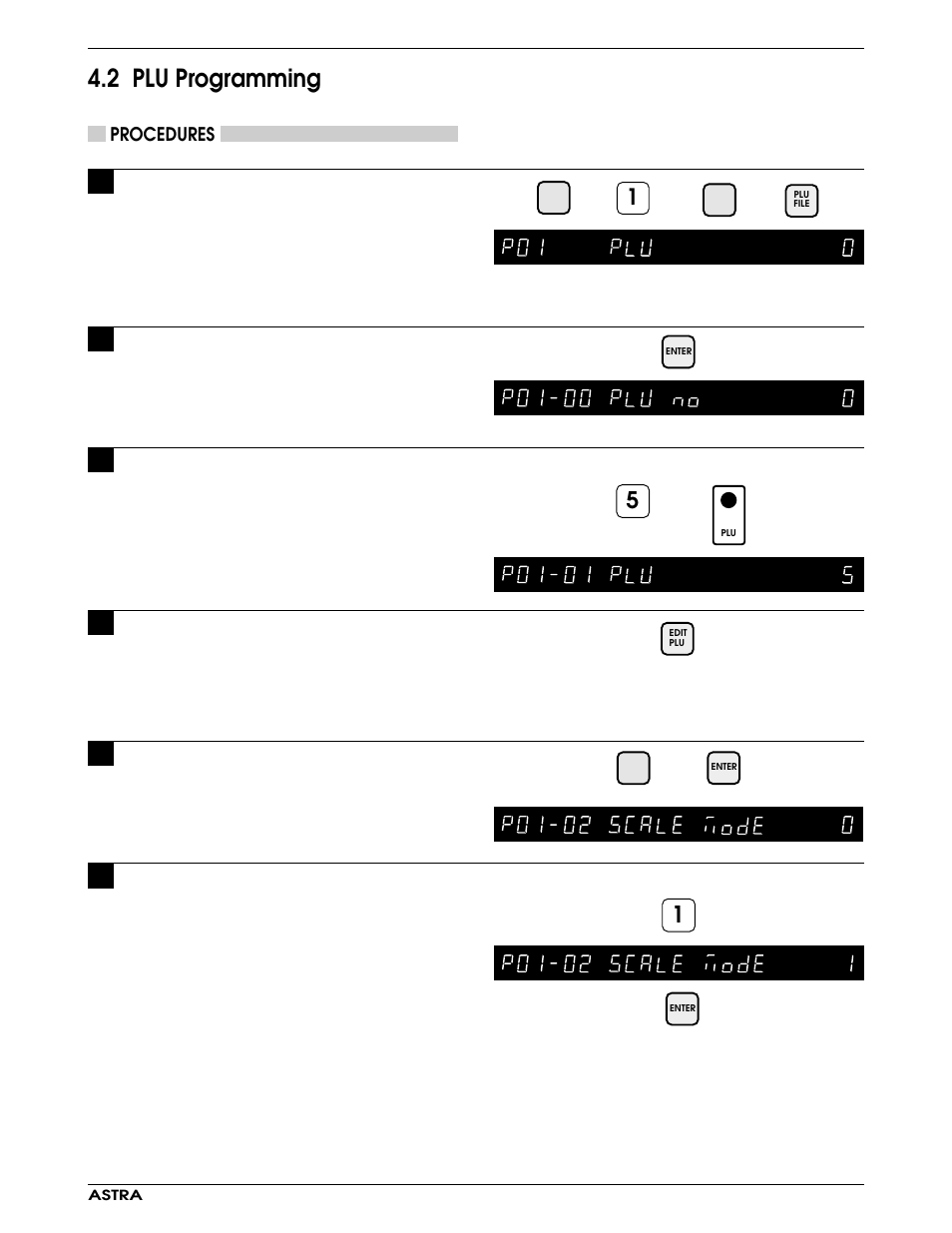 2 plu programming | Rice Lake Ishida Astra Operating Manual User Manual | Page 35 / 88