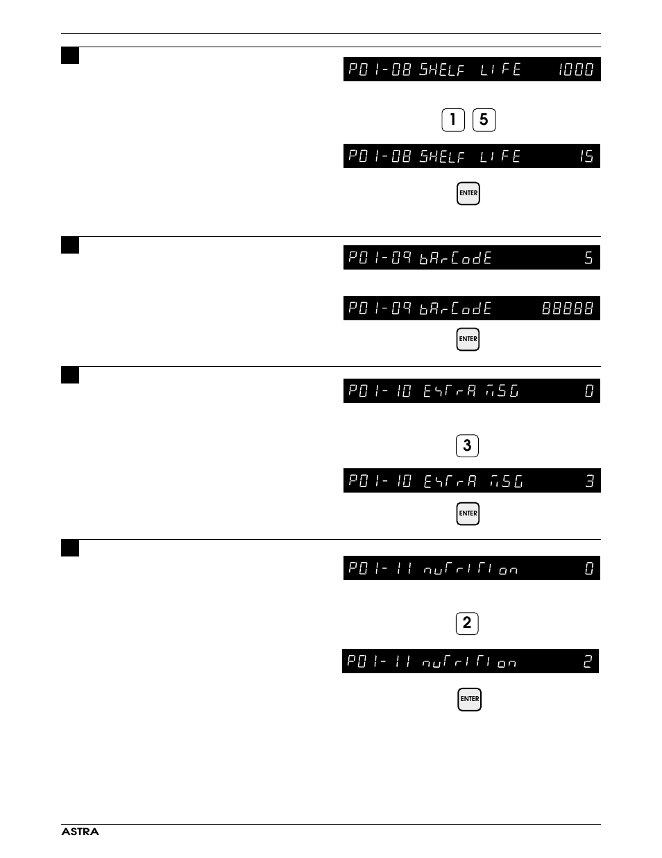 Rice Lake Ishida Astra Operating Manual User Manual | Page 37 / 88