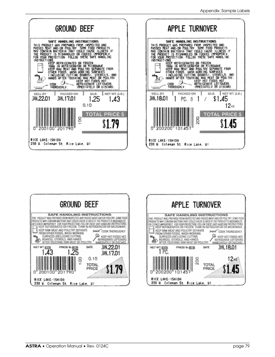 Rice Lake Ishida Astra Operating Manual User Manual | Page 85 / 88