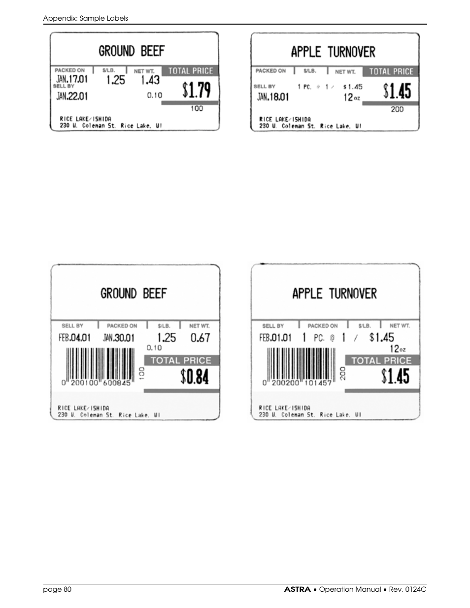 Rice Lake Ishida Astra Operating Manual User Manual | Page 86 / 88