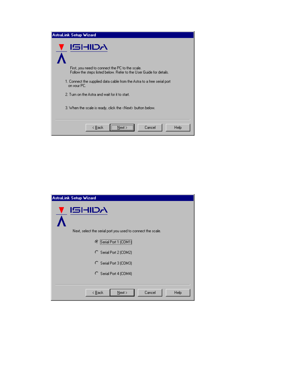 Rice Lake Ishida AstraLink User Manual | Page 8 / 58