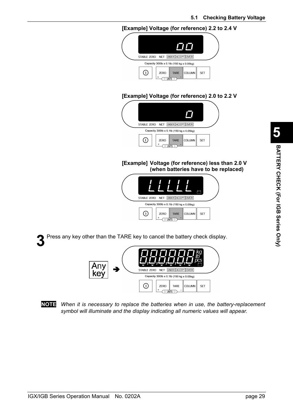 Rice Lake Ishida IGX & IGB Series - Operation Manual User Manual | Page 32 / 38