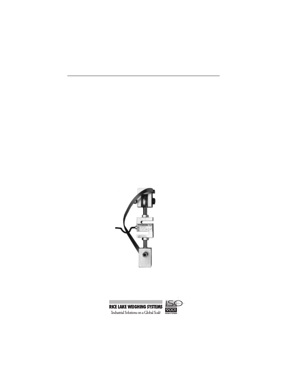 Rice Lake ITCM SS Isolated Tension Cell Module User Manual | 11 pages