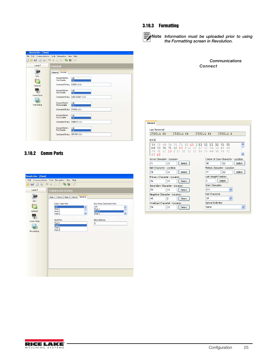 2 comm ports, 3 formatting, Comm ports | Formatting | Rice Lake Remote Displays/Scoreboards - Laser LT User Manual | Page 29 / 46