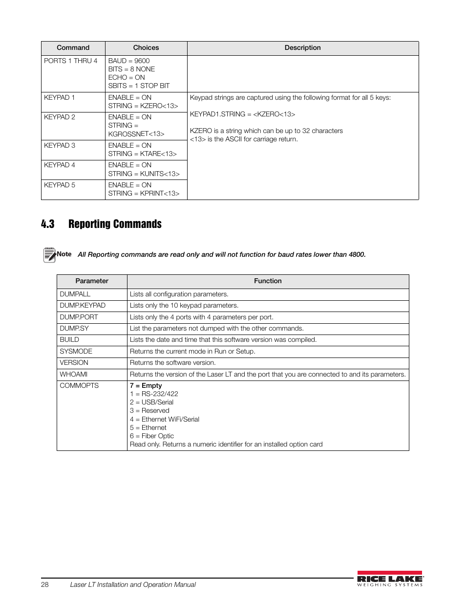 3 reporting commands | Rice Lake Remote Displays/Scoreboards - Laser LT User Manual | Page 34 / 46