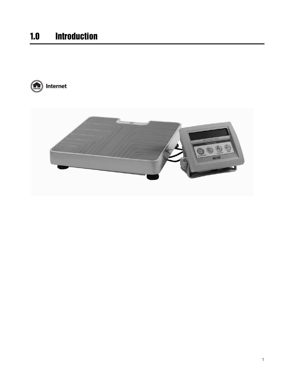 0 introduction | Rice Lake Legal For Trade Platform/Fitness Scale - Rice Lake Dietary Fitness Scale Operating Instructions User Manual | Page 5 / 16