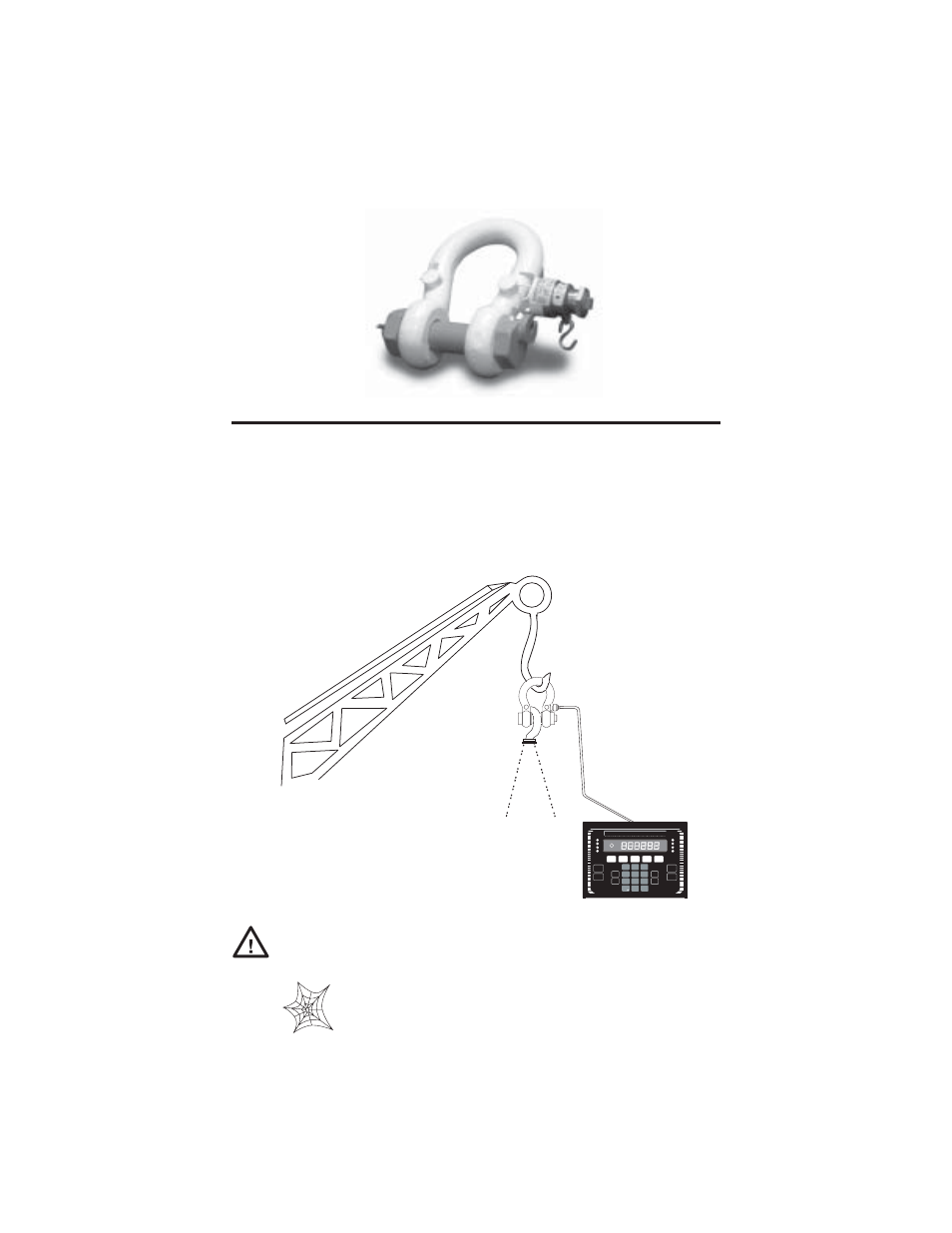 Caution, Introduction | Rice Lake Load Cells - RL4050LS Electronic Load Shackle User Manual | Page 3 / 6