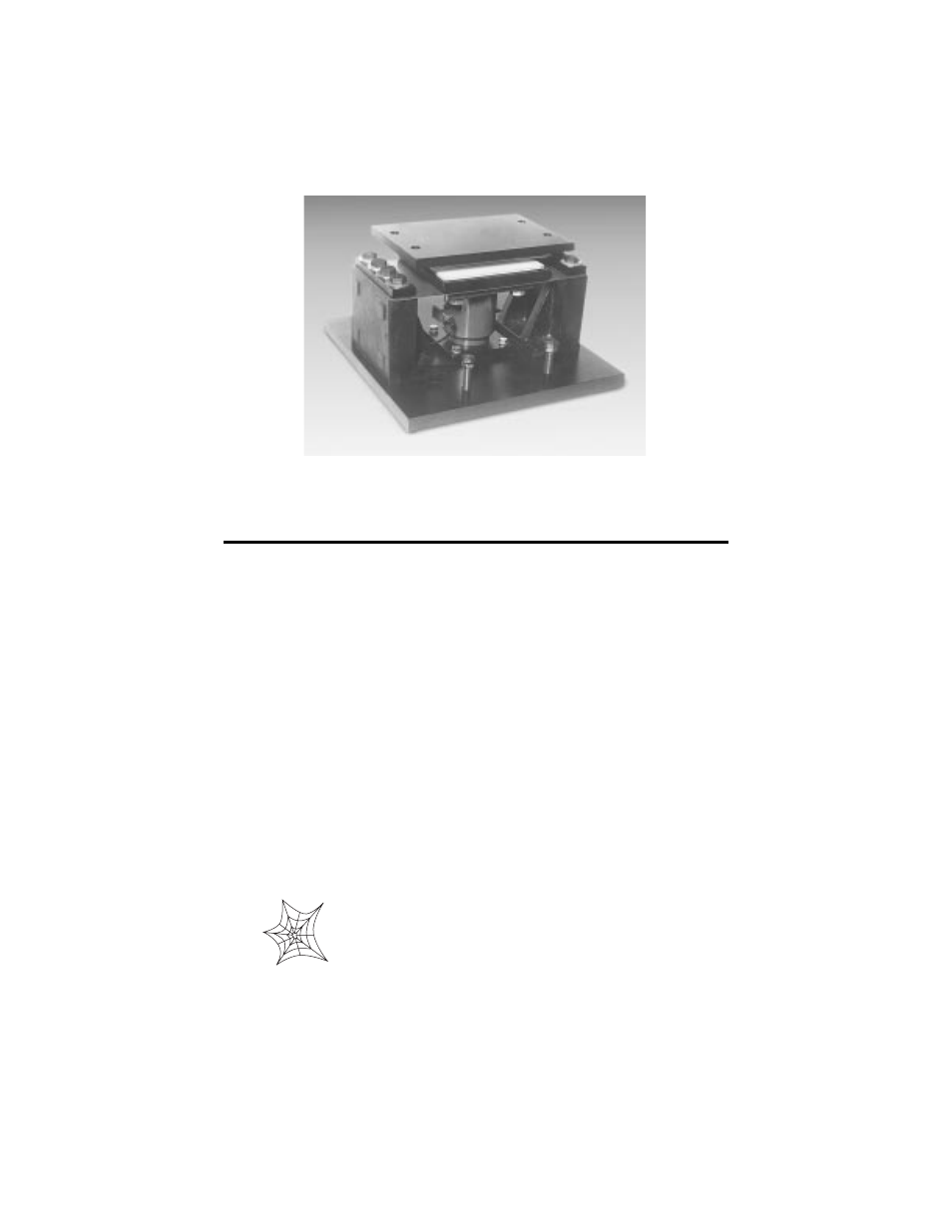 Introduction | Rice Lake Magnamount User Manual | Page 3 / 17
