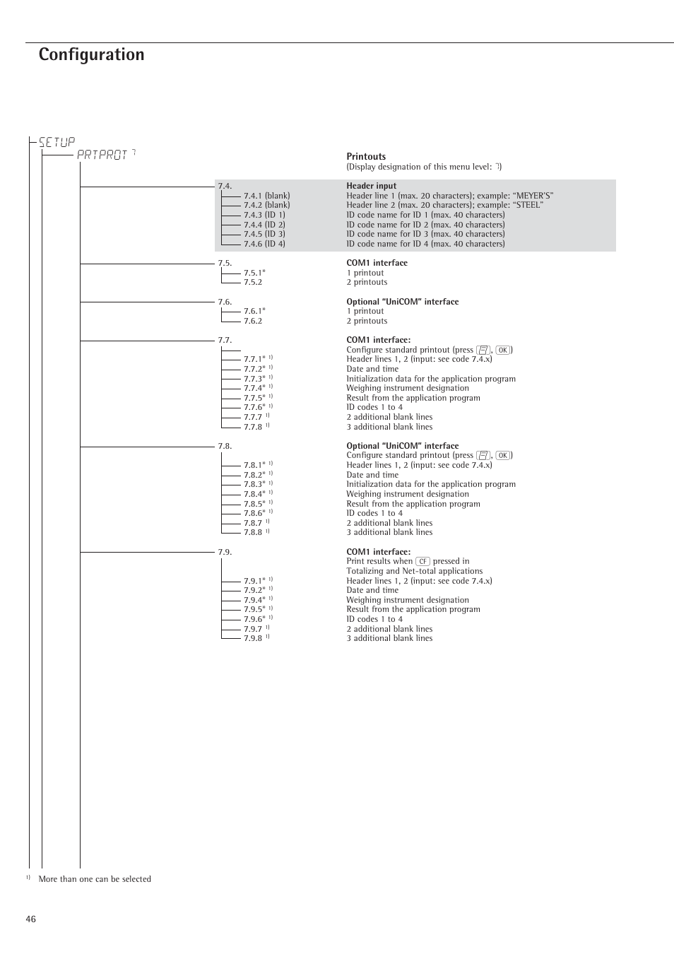 Configuration, Setup prtprot | Rice Lake Sartorius Midrics 1 and 2 Series - Operating Instructions User Manual | Page 46 / 107