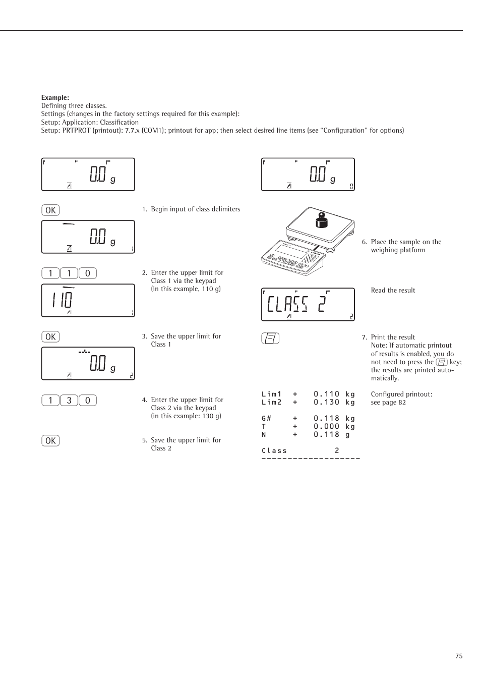 Rice Lake Sartorius Midrics 1 and 2 Series - Operating Instructions User Manual | Page 75 / 107