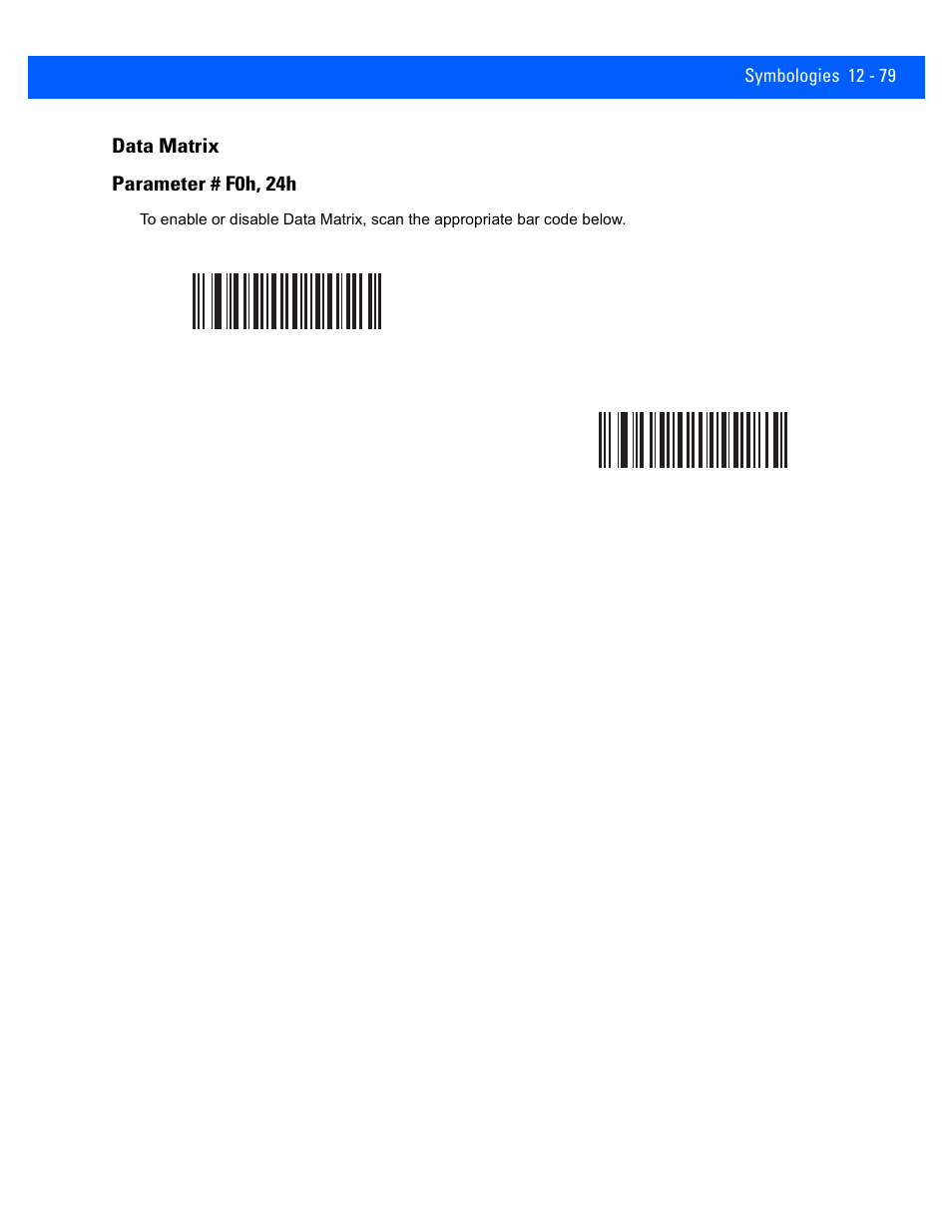 Data matrix, Data matrix -79 | Rice Lake Motorola DS457 Laser Scanner User Manual | Page 301 / 428